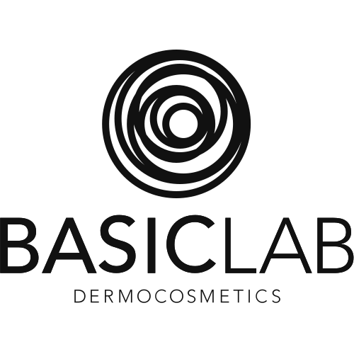 BasicLab SVG 로고 벡터