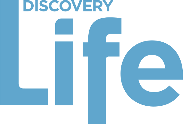 Discovery Life SVG 로고 벡터 무료 다운로드