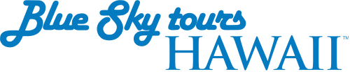 Blue Sky Tours SVG/矢量 Logo 免费下载