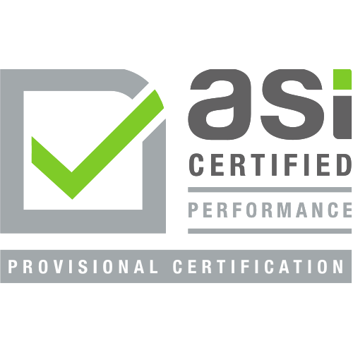 Логотип asi Provisional Certification в векторе/svg